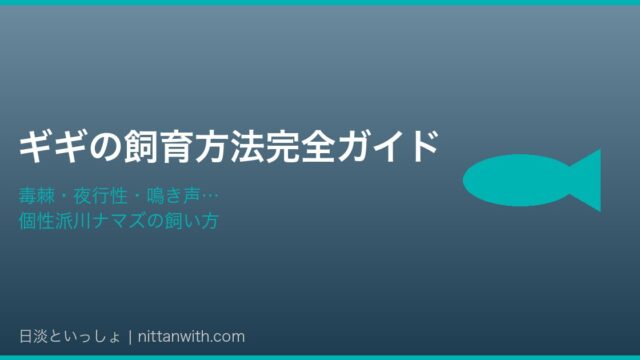 ギギの飼育方法完全ガイド アイキャッチ