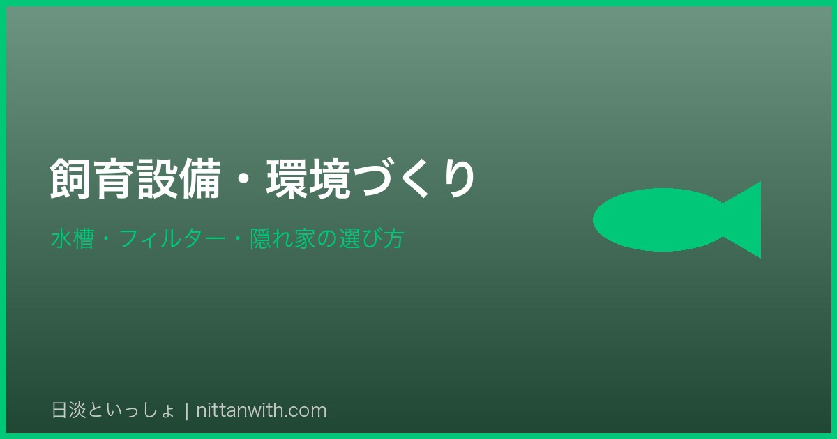 ギギ飼育設備・環境づくり