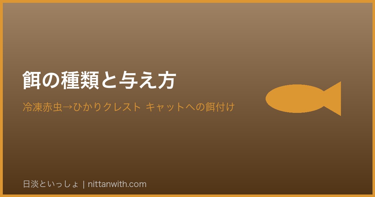 ギギの餌の種類と与え方