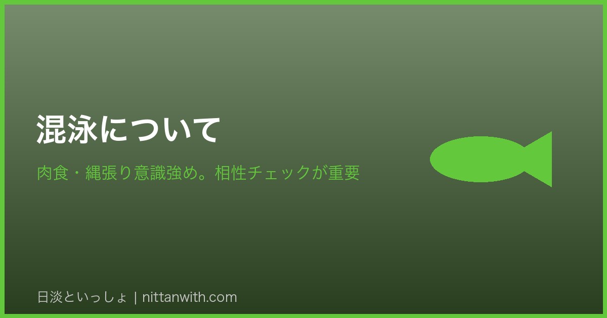 ギギの混泳について