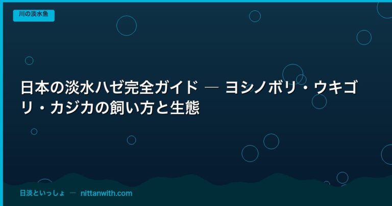 日本の淡水ハゼ完全ガイド ― ヨシノボリ・ウキゴリ・カジカの飼い方と生態｜日淡といっしょ