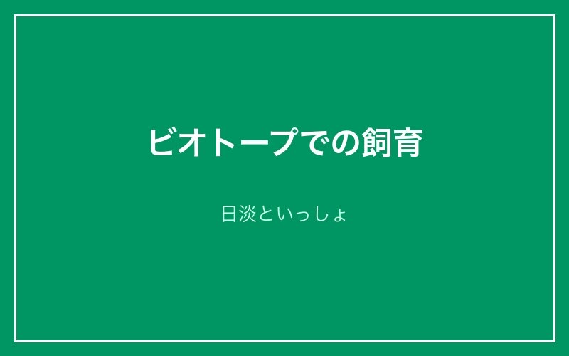 ビオトープでの飼育