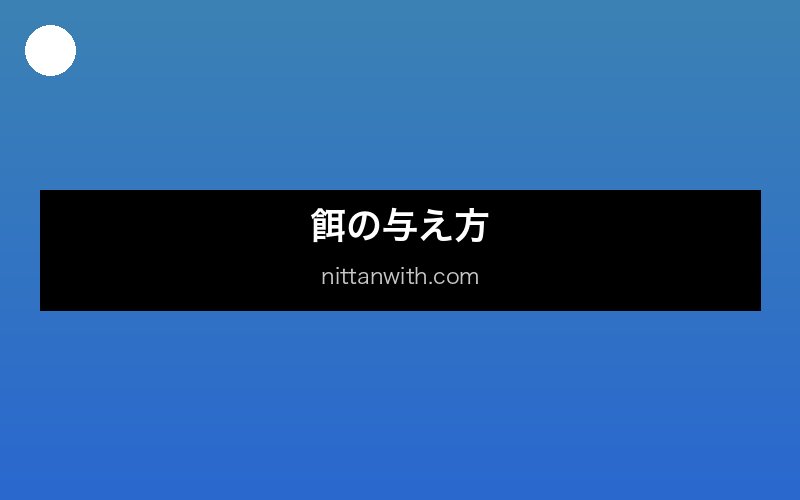 グラミーの飼育環境