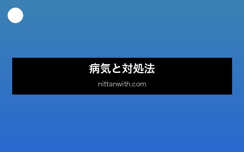グラミーの混泳
