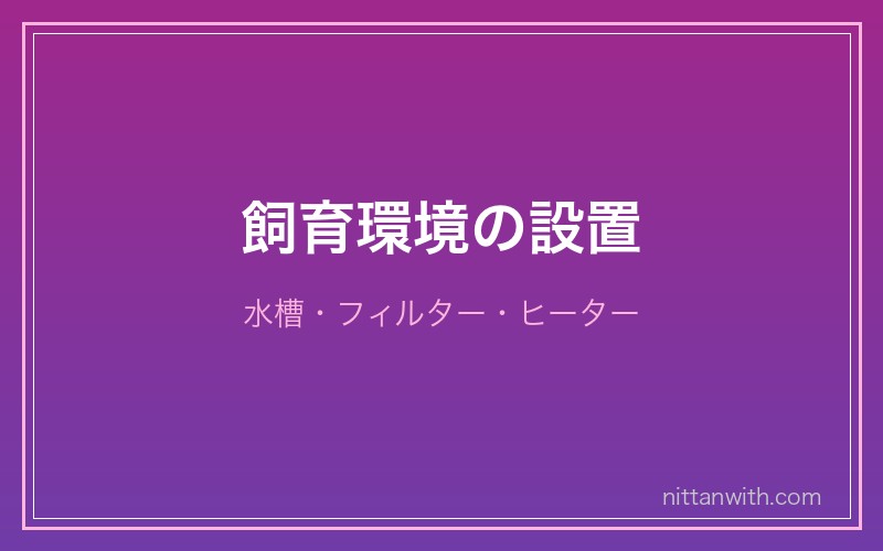 グッピー飼育環境の設置