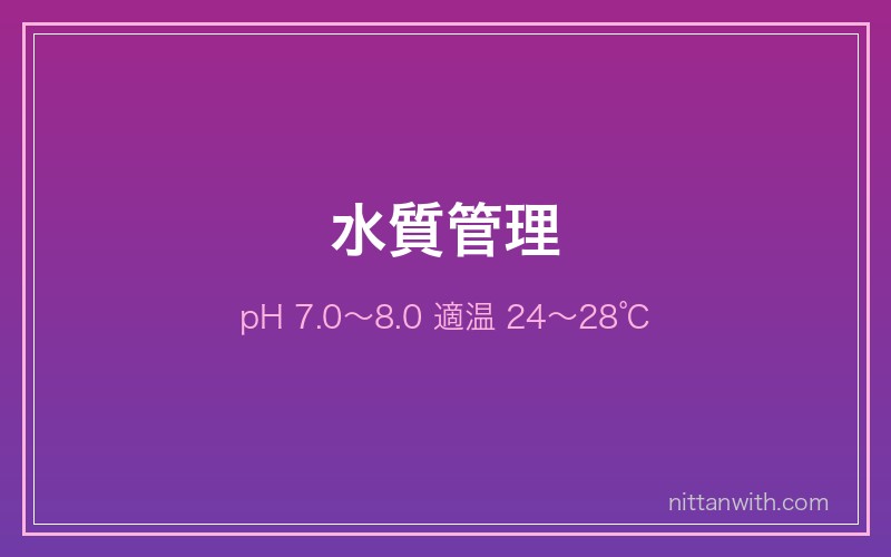 グッピーの水質管理