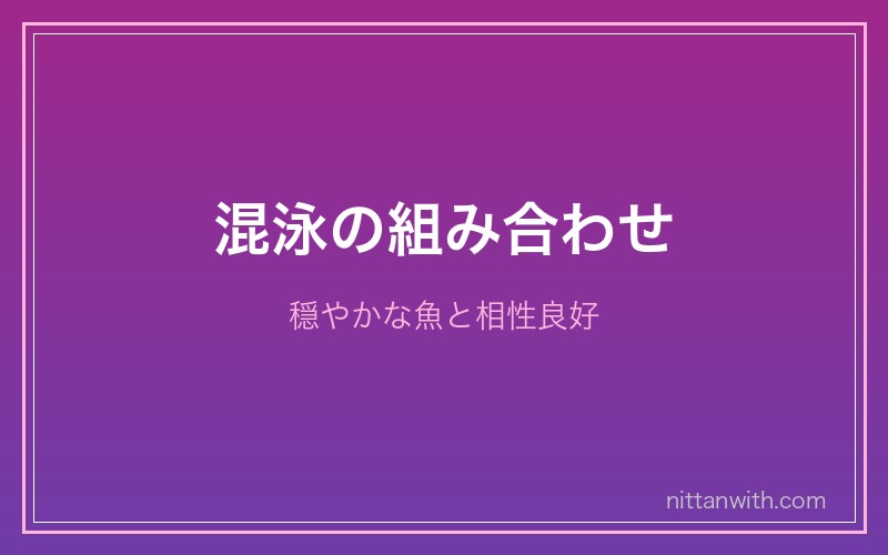 グッピーの混泳