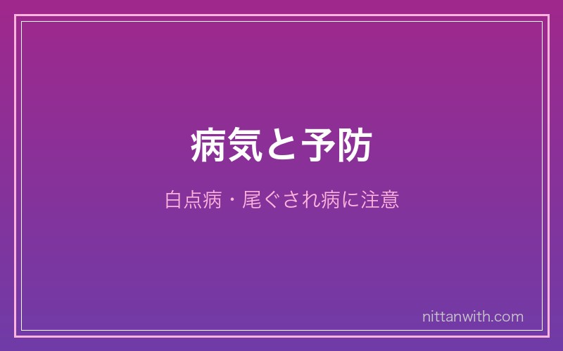 グッピーの病気と予防