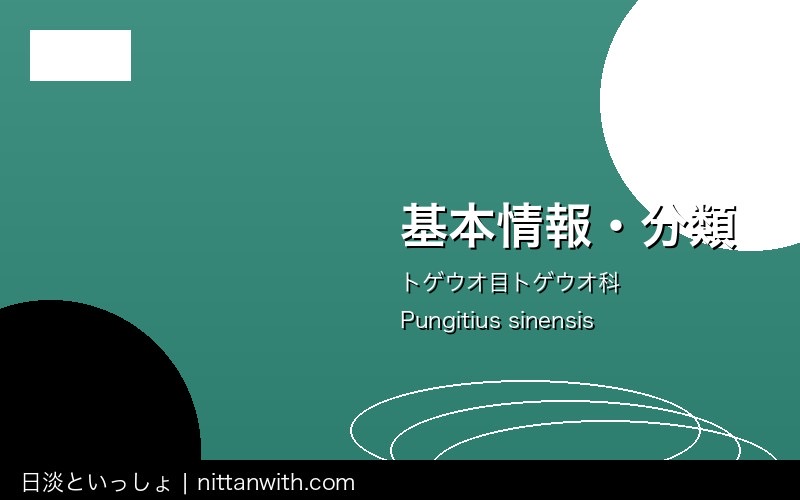 ハリヨ飼育ガイド