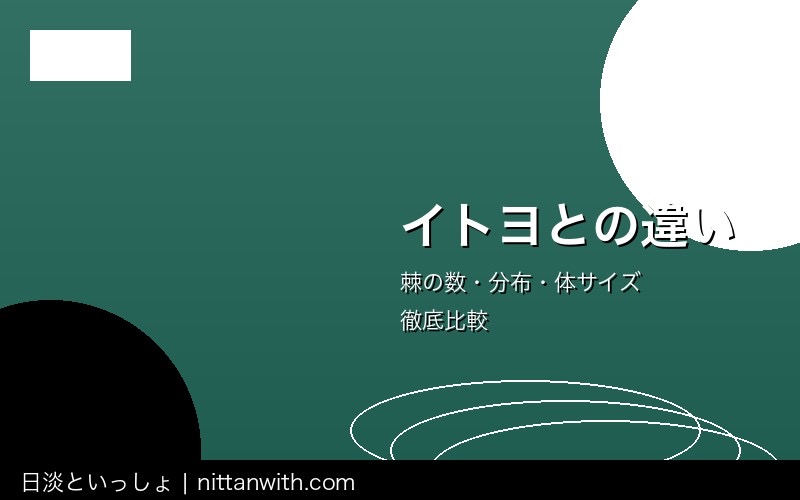 ハリヨ飼育ガイド