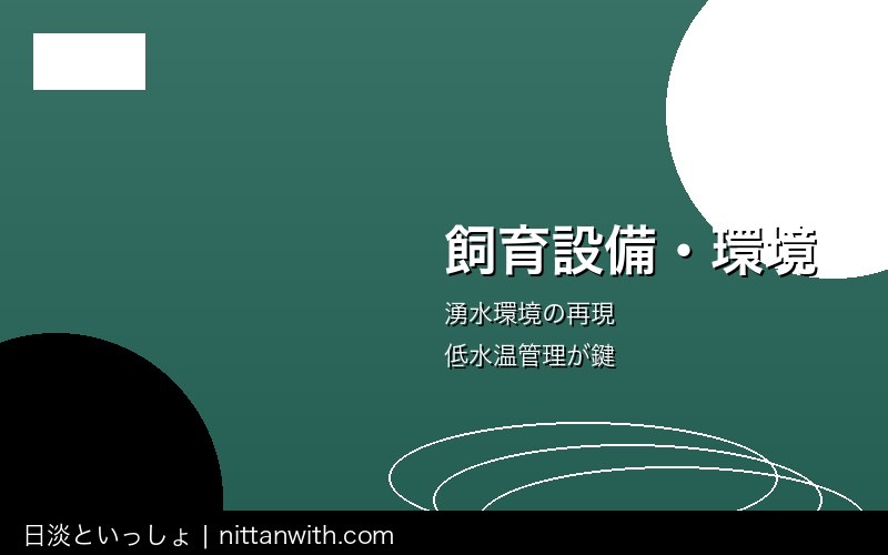 ハリヨ飼育ガイド