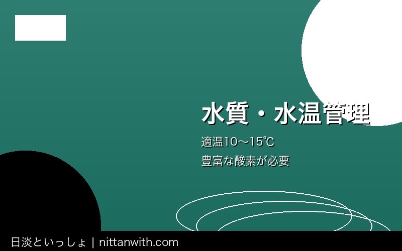 ハリヨ飼育ガイド