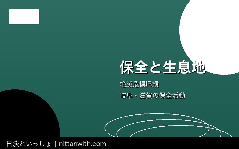 ハリヨ飼育ガイド