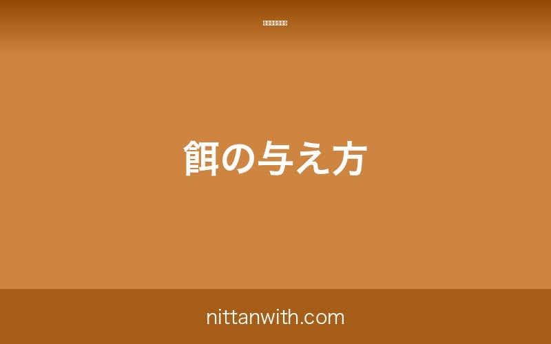 ホンモロコの餌の与え方