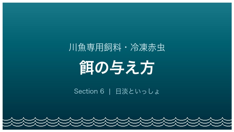 イトモロコ飼育ガイド