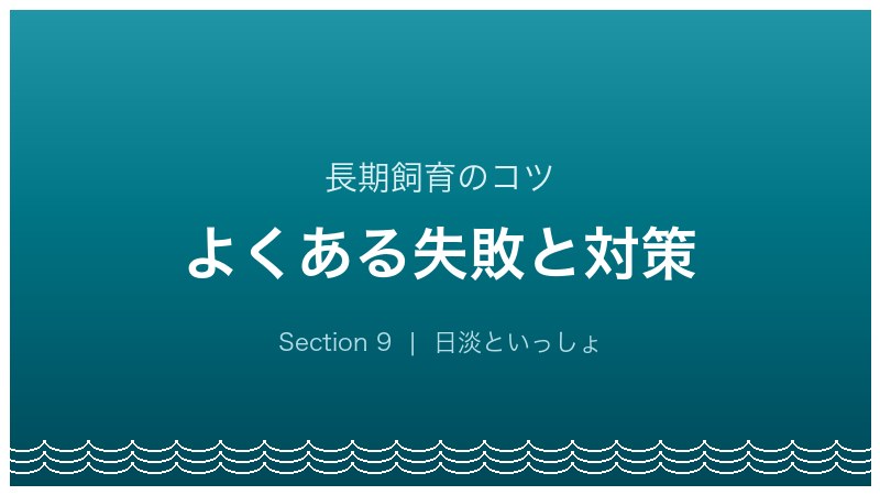 イトモロコ飼育ガイド