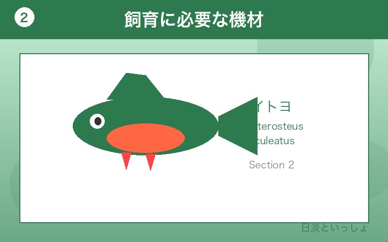 イトヨ 飼育に必要な機材