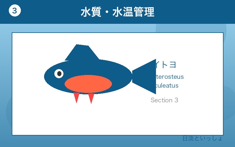 イトヨ 水質・水温管理