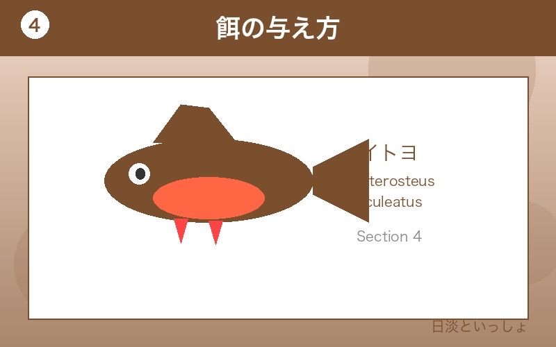 イトヨ 餌の与え方