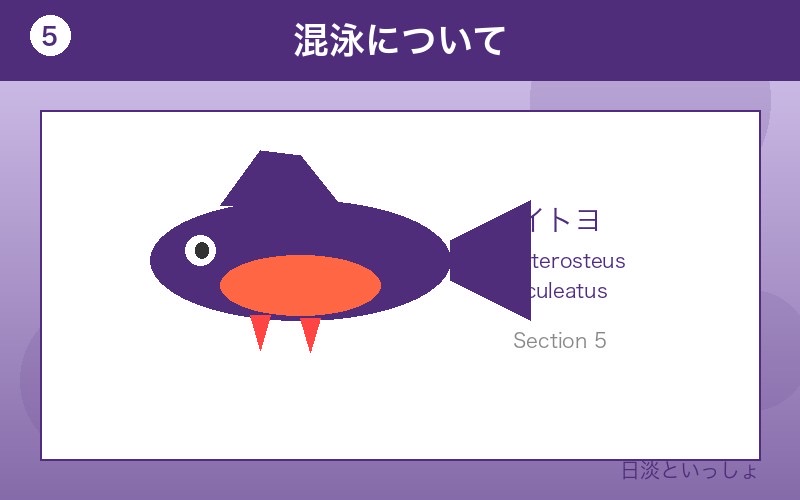 イトヨ 混泳について