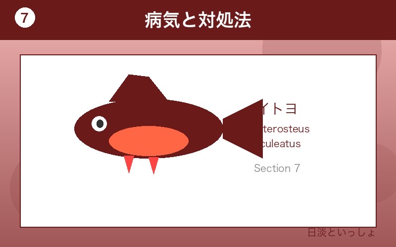 イトヨ 病気と対処法