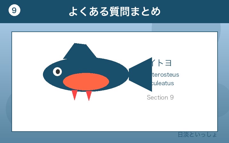 イトヨ よくある質問まとめ