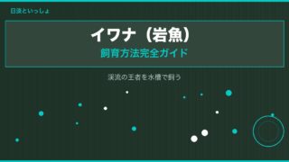 イワナ（岩魚）の飼育方法完全ガイド｜渓流の王者を水槽で飼う