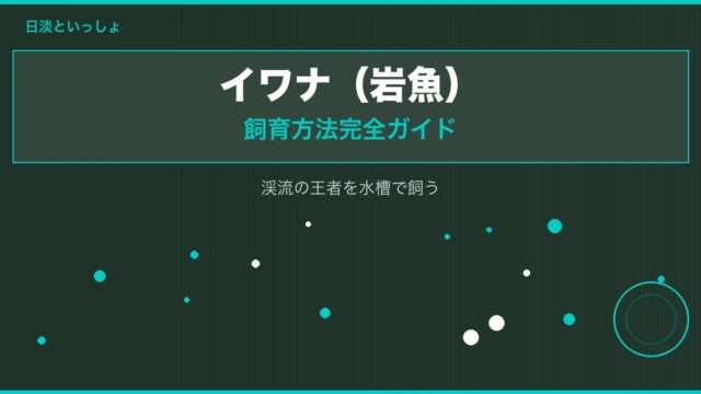 イワナ（岩魚）の飼育方法完全ガイド｜渓流の王者を水槽で飼う