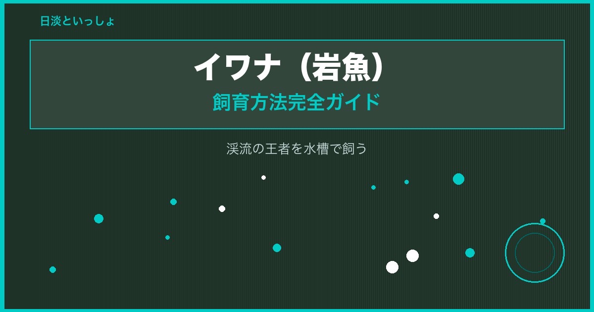 イワナ（岩魚）の飼育方法完全ガイド｜渓流の王者を水槽で飼う
