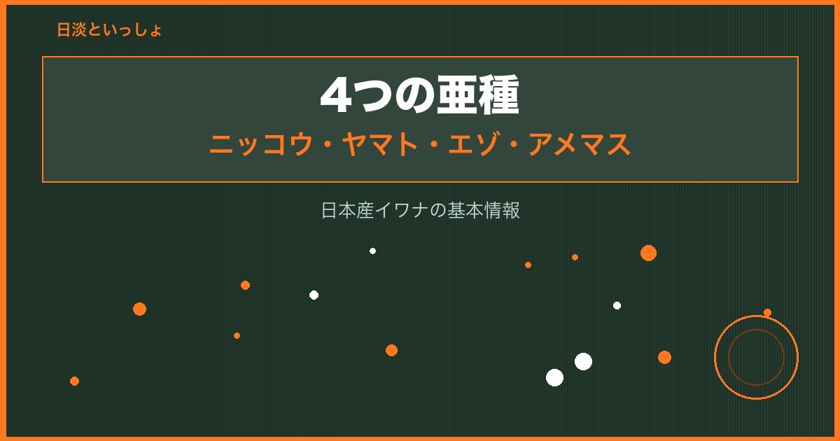 イワナの4亜種（ニッコウイワナ・ヤマトイワナ・エゾイワナ・アメマス）の違い