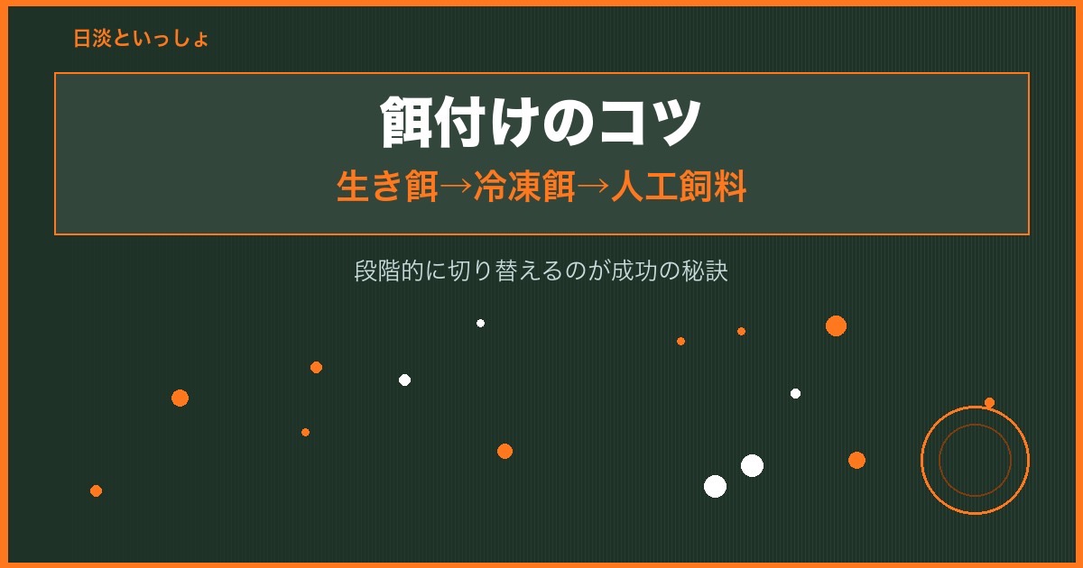 イワナの餌付け方法（生き餌から人工飼料への移行）