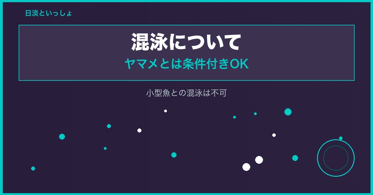 イワナの混泳（ヤマメとの相性・注意点）