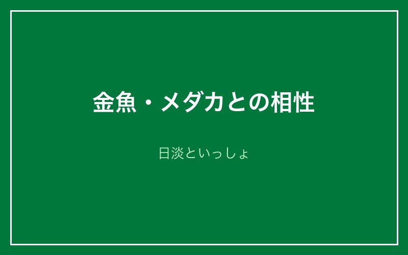金魚・メダカとの相性