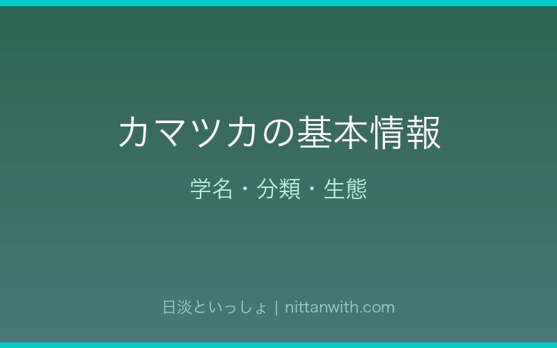 カマツカの基本情報