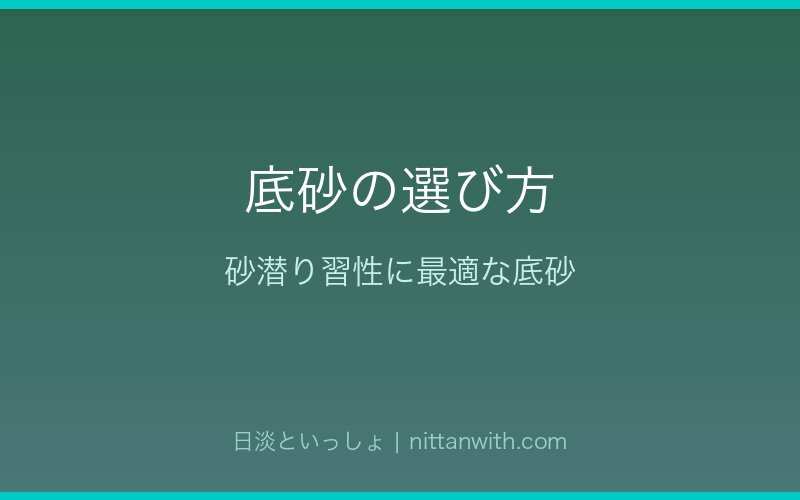 カマツカの底砂の選び方