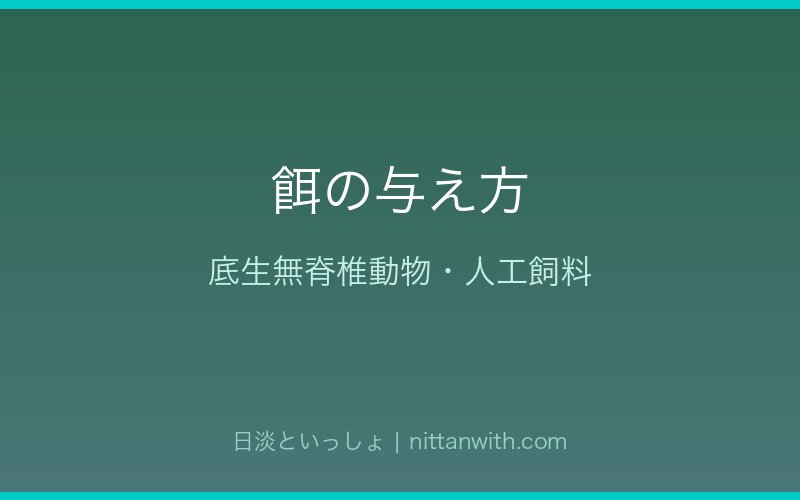 カマツカの餌の与え方
