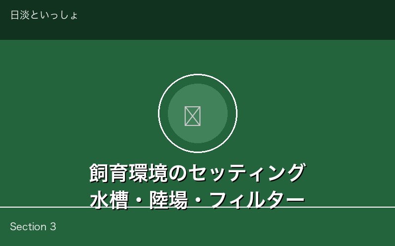 カメ飼育環境のセッティング