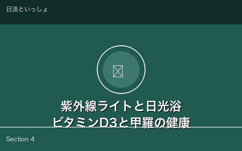 紫外線ライトと日光浴