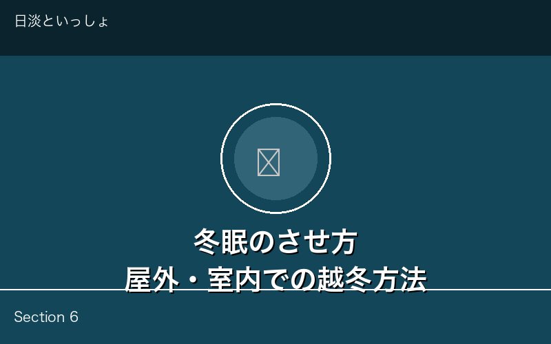 カメの冬眠方法