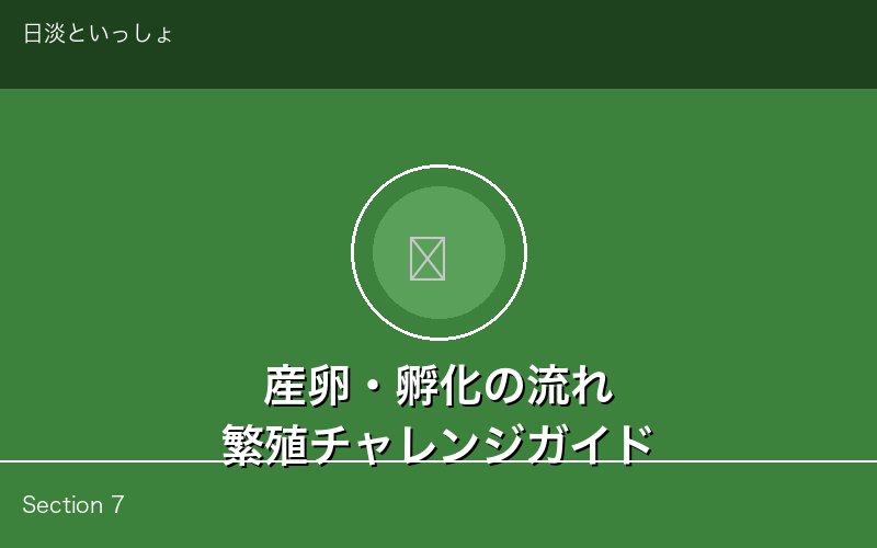 カメの産卵・孵化