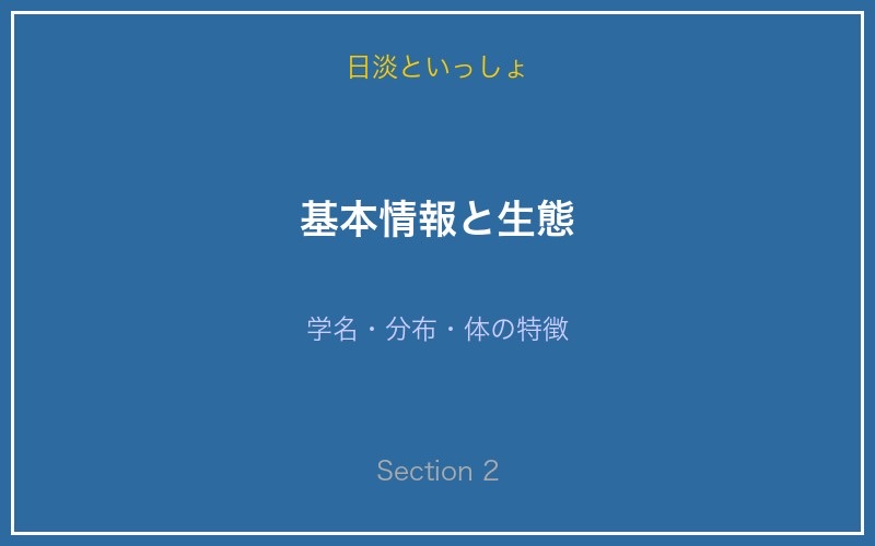 カネヒラの基本情報と生態