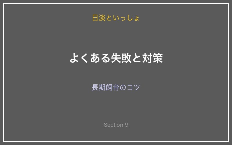 カネヒラの飼育失敗と対策