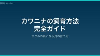 カワニナの飼育方法完全ガイド アイキャッチ