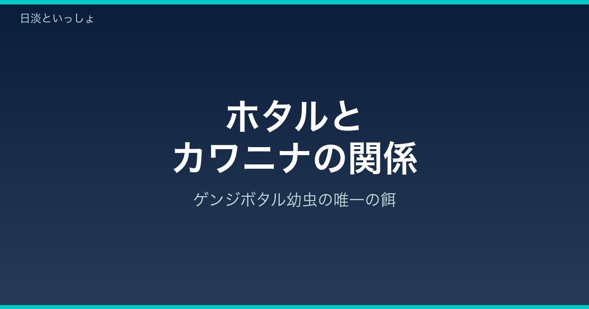 カワニナとホタルの関係