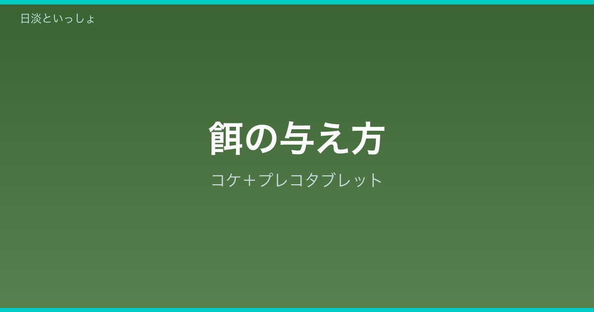 カワニナの餌の与え方