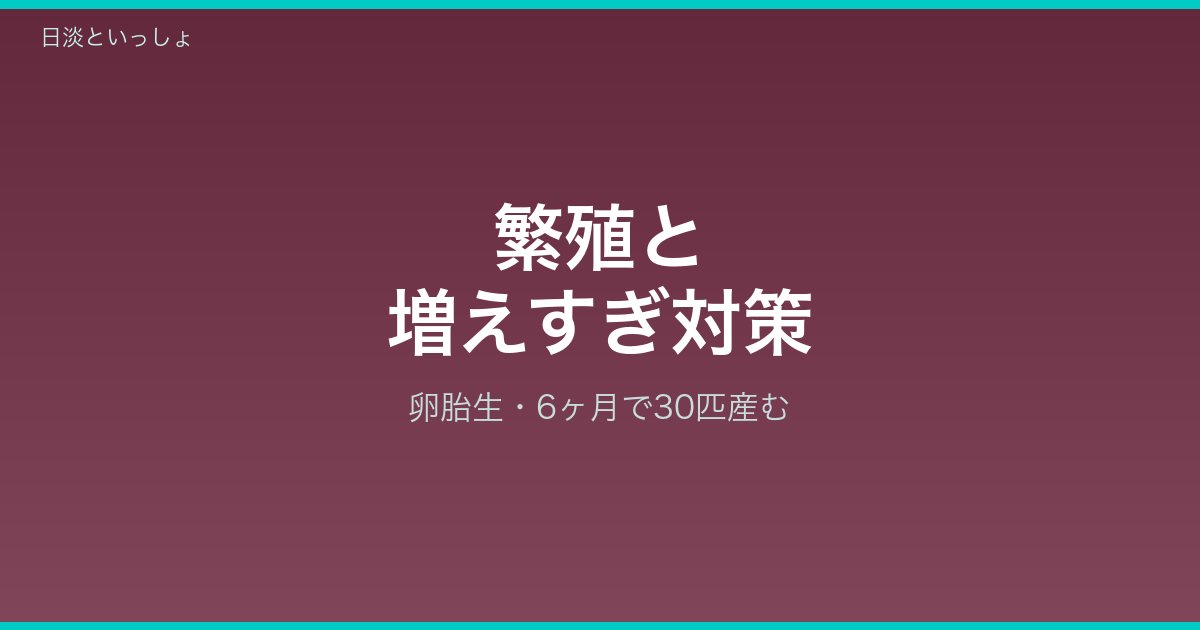カワニナの繁殖と増えすぎ対策