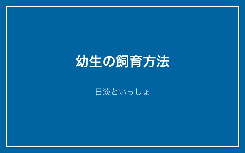 幼生（アンモシーテス）の飼育方法