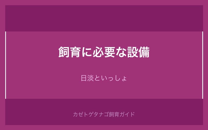 カゼトゲタナゴ飼育に必要な設備一覧