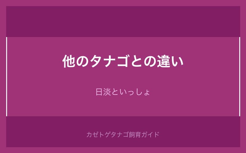 カゼトゲタナゴと他のタナゴの違い比較