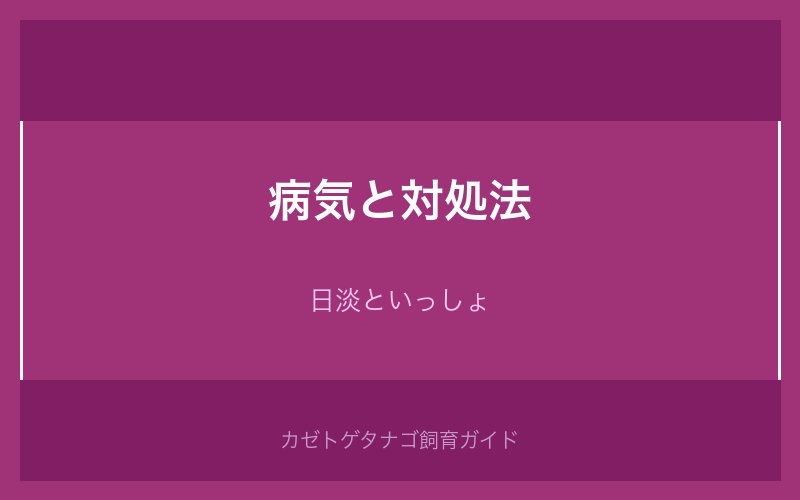 カゼトゲタナゴの病気と対処法